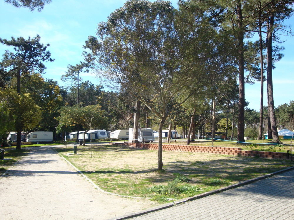Parque De Campismo Orbitur Caminha Hotell Exteriör bild
